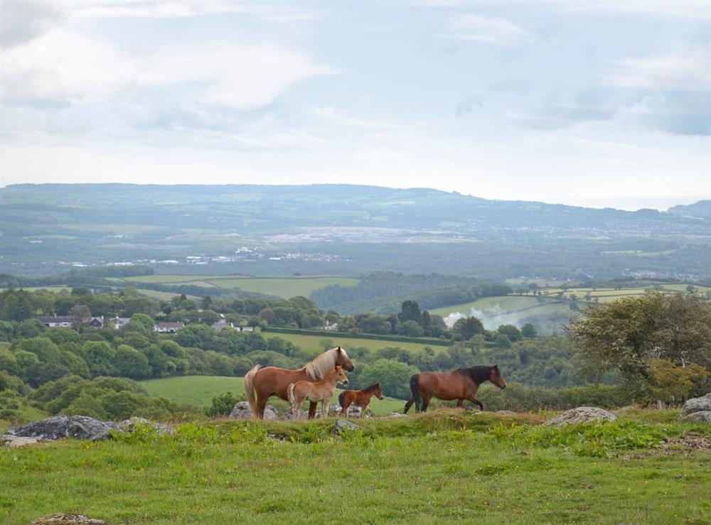 Stunning view across Dartmoor
