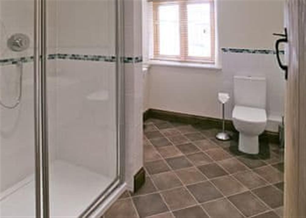 Shower room at Wriggle View, 