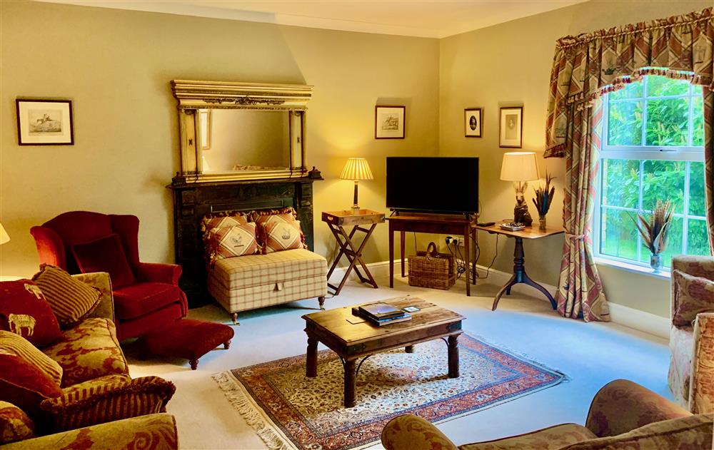 Decadent sitting room with comfortable seating and a Smart television