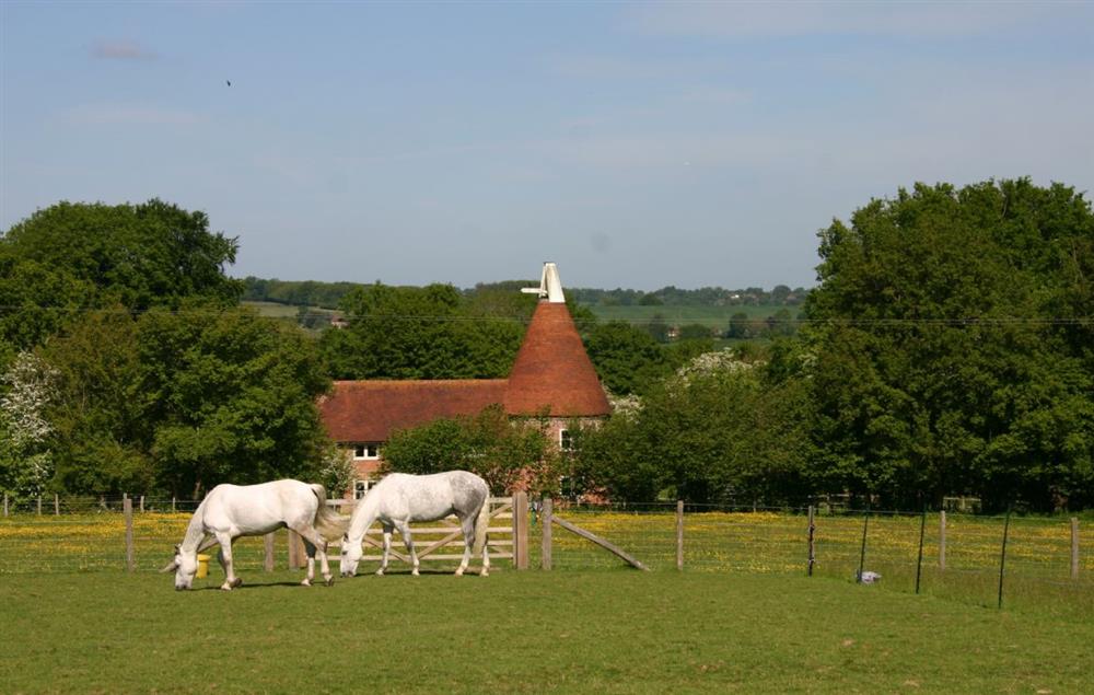 Surrounding countryside at Bakers Farm Oast, Ticehurst