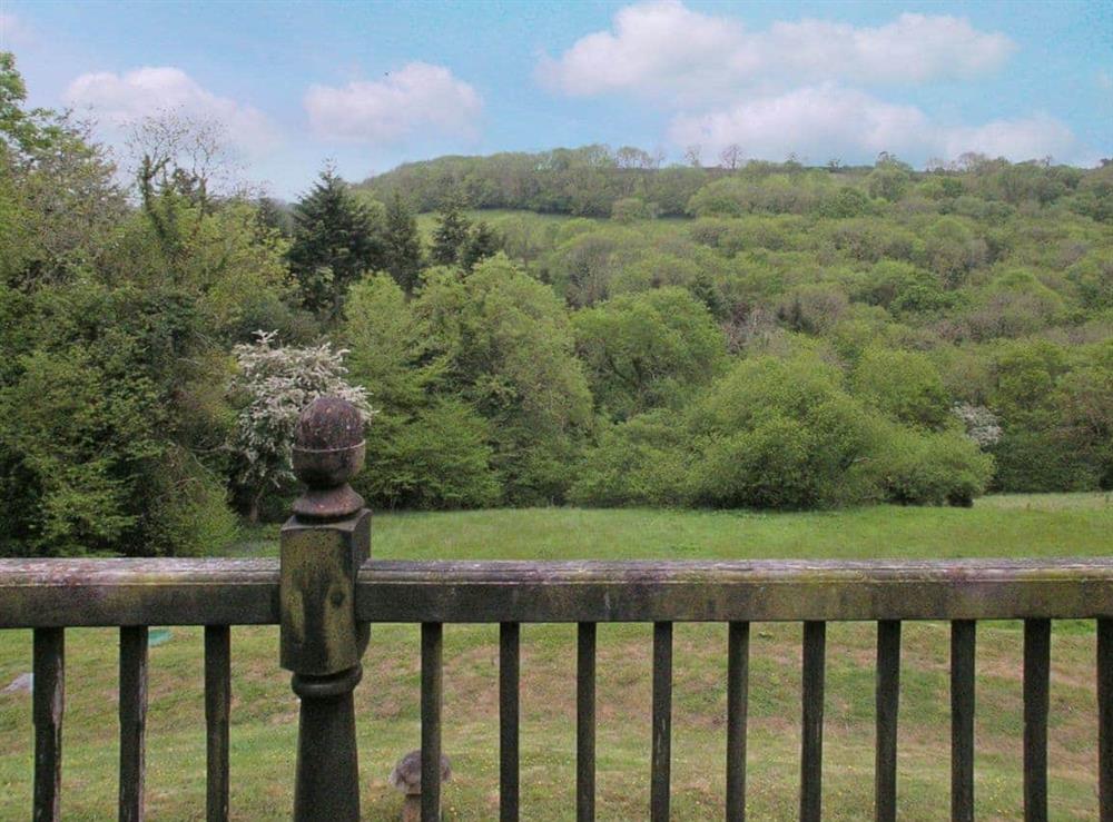 View at Baldash Lodge in Branscombe, East  Devon., Great Britain