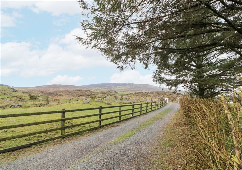 The area around Ballard Cottage Annexe at Ballard Cottage Annexe, Lislea near Newry