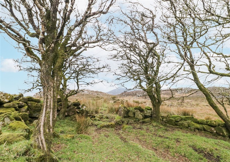 This is the garden at Ballard Cottage Annexe, Lislea near Newry