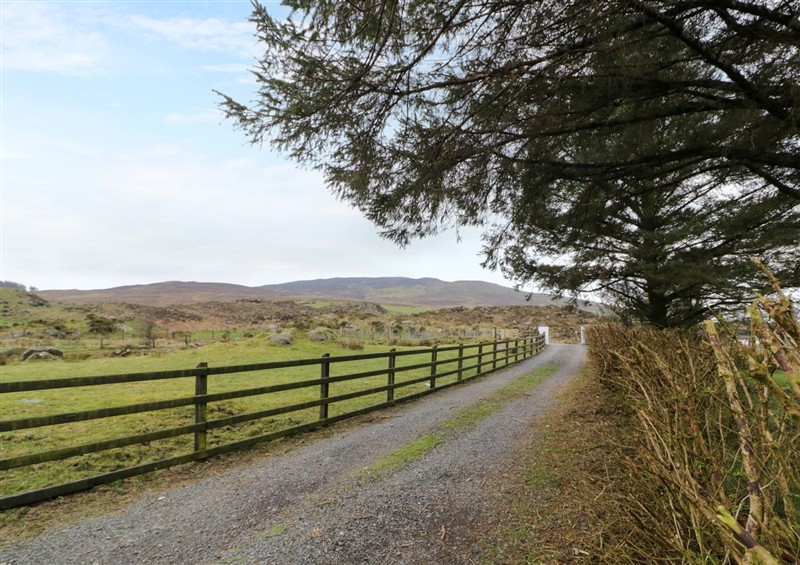 In the area at Ballard Cottage, Newry