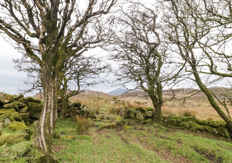 The garden (photo 2) at Ballard Cottage, Newry