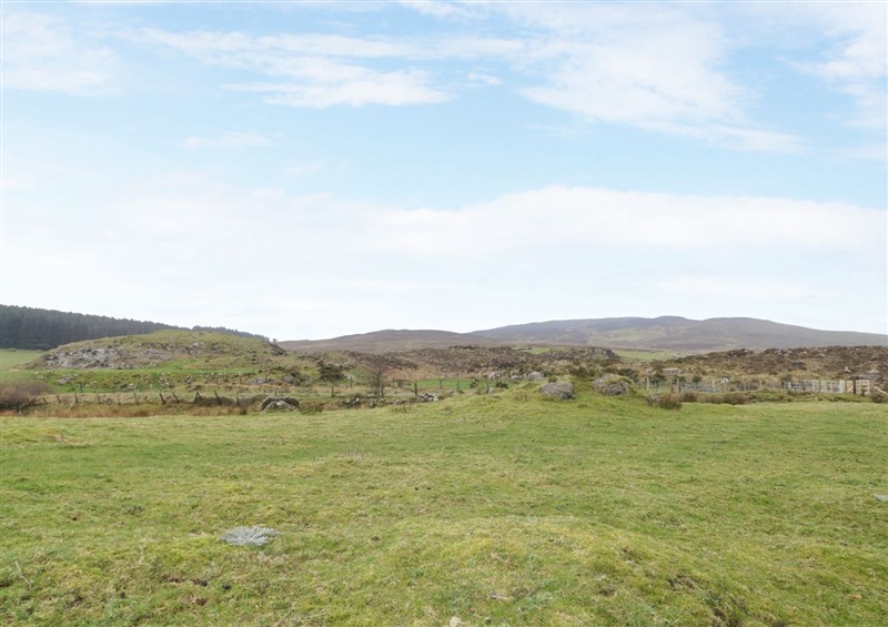 The garden in Ballard Cottage at Ballard Cottage, Newry