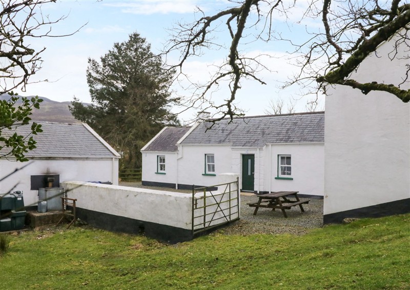 The garden at Ballard Cottage, Newry