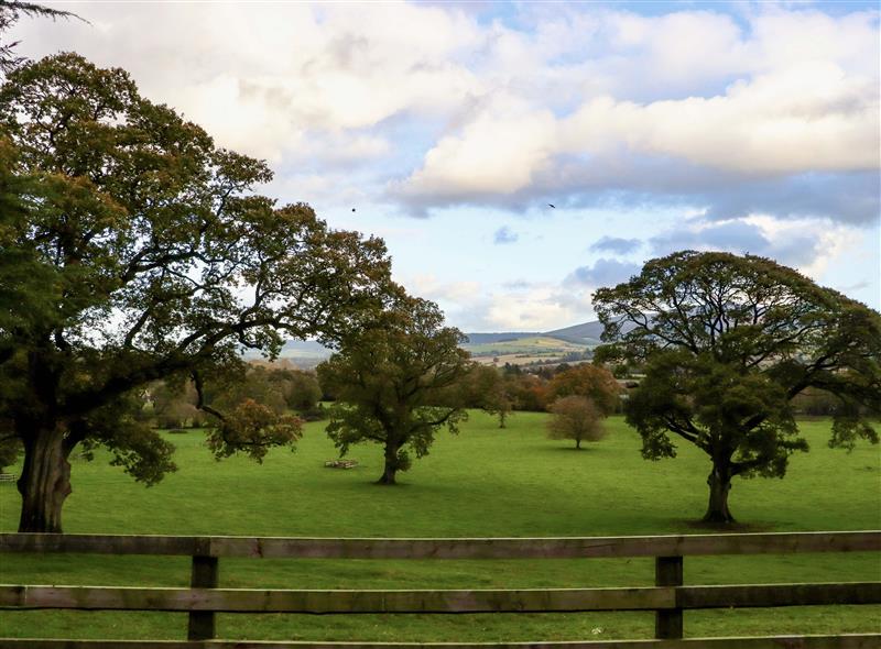 The setting of Ballybeg Pod 1