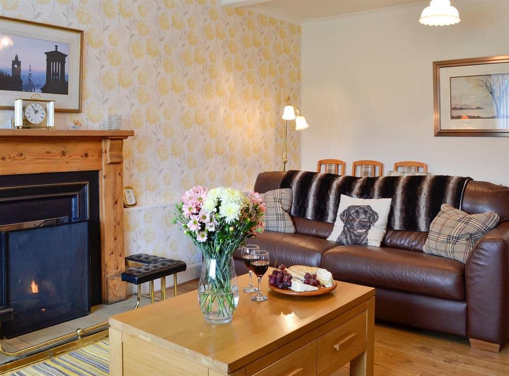 Living area with open fireplace at Balnowlart Lodge in Ballantrae, Ayrshire