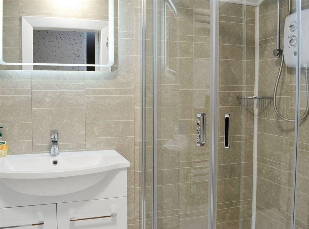 Shower room with cubicle at Balnowlart Lodge in Ballantrae, Ayrshire