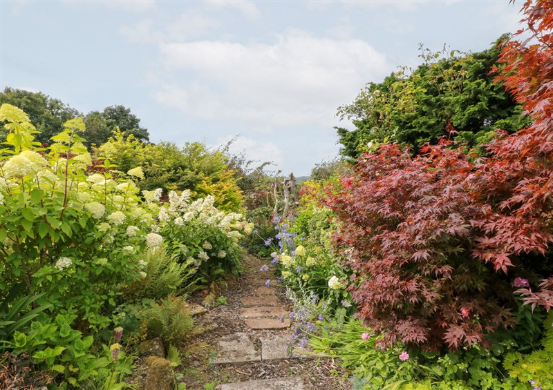 The garden in Balsaggart Farm (photo 4) at Balsaggart Farm, Kirkmichael