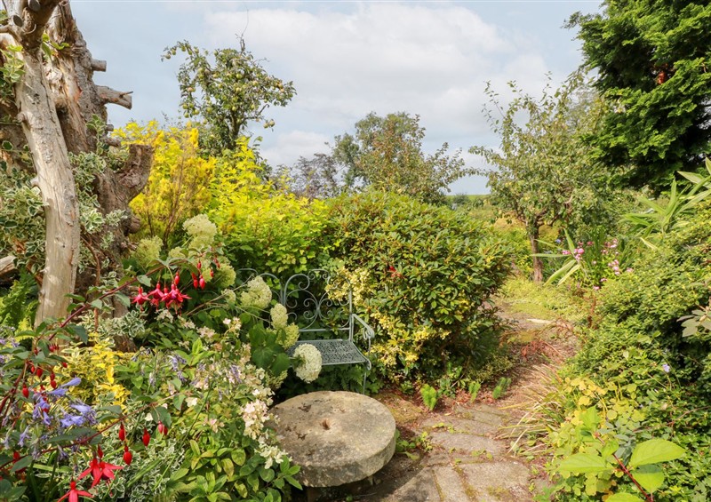 The garden in Balsaggart Farm (photo 5) at Balsaggart Farm, Kirkmichael