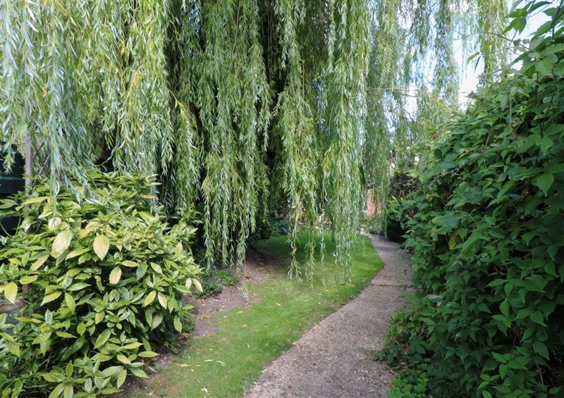 The garden at Bank House, Hingham