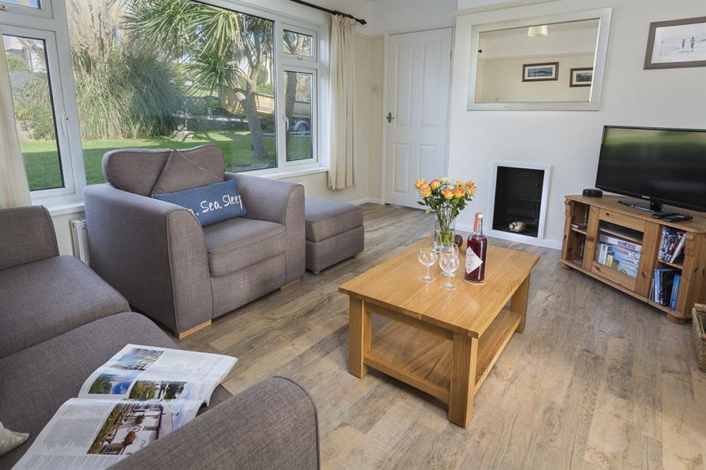 Comfortable lounge area with flatscreen TV at Bankside in Hope Cove, Kingsbridge