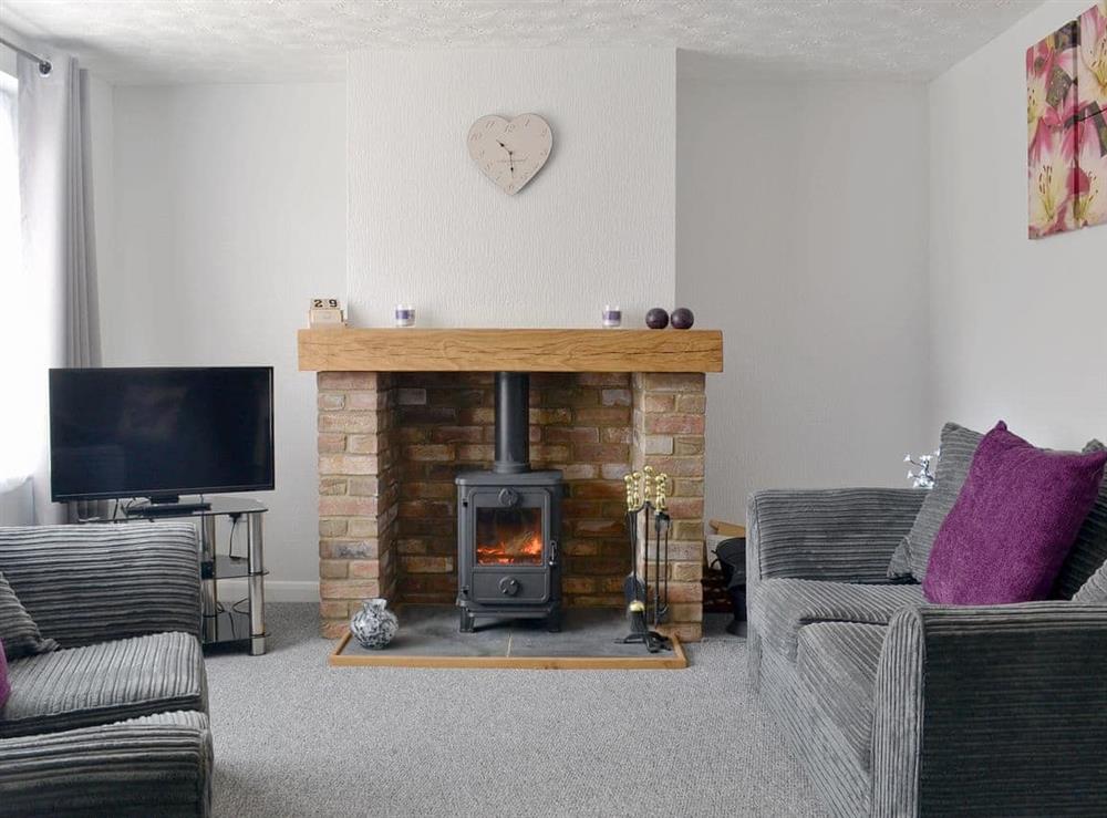 Cosy living room with wood burner at Banovallum Cottage in Horncastle, Lincolnshire