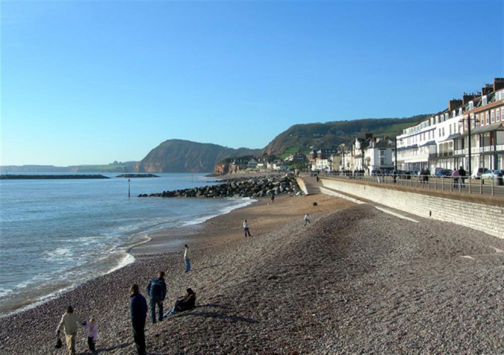 A view of Sidmouth Seafront. at Bantam Cottage in Ottery St Mary