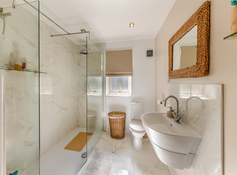 Shower room at Baobab Lodge in Prestatyn, Denbighshire