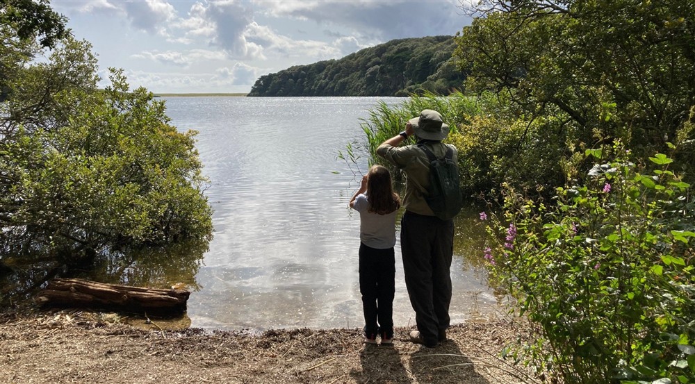 A man and child bird watching through binoculars across Loe Pool at Bar Lodge in Helston, Cornwall