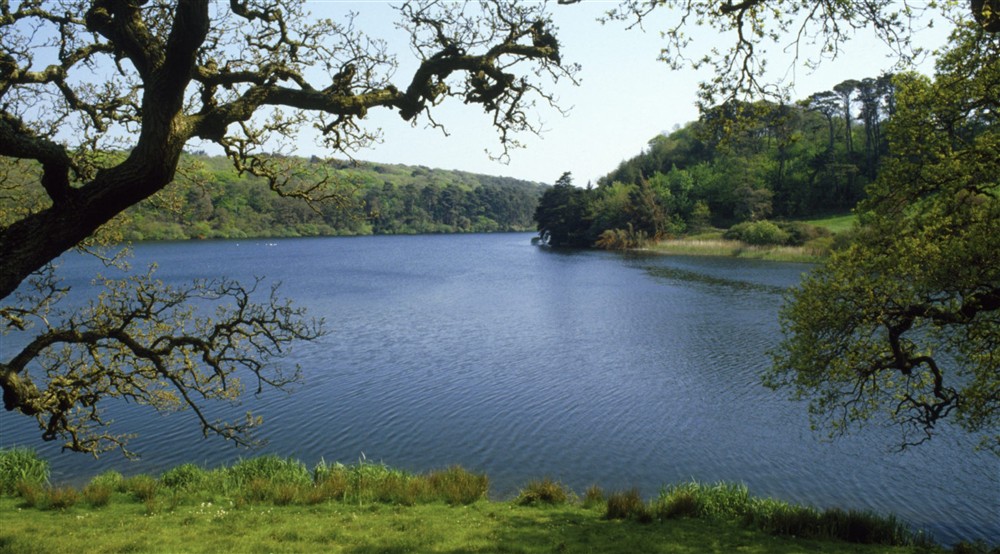 Looking through the trees and across Loe Pool at Bar Lodge in Helston, Cornwall
