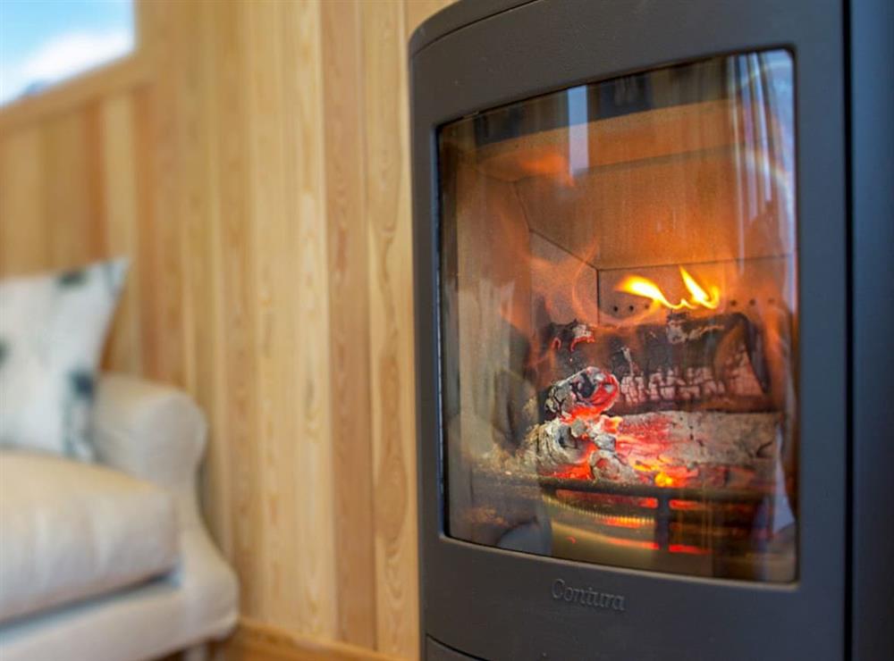 Cosy wood burner in the living area at Little Oak, 