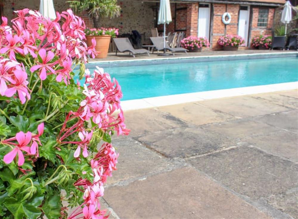 Swimming pool at Barley Cottage in West Marden, near Chichester, West Sussex