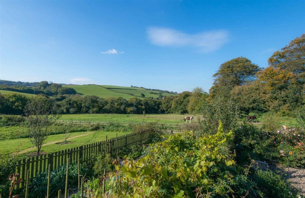 Garden and grounds (photo 8) at Barn Cottage in Bodmin, Cornwall