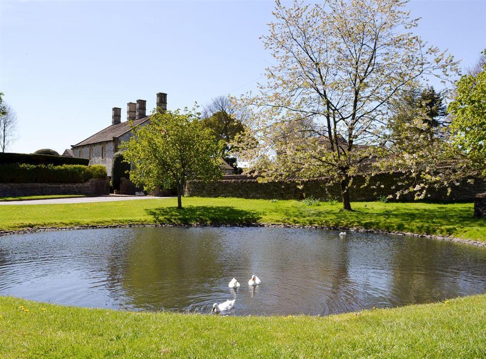 Village Duck Pond at Barn on the Green in Foolow, near Tideswell, Derbyshire, England