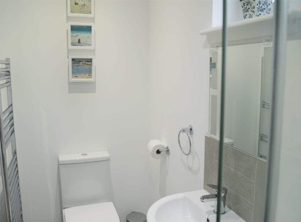 En-suite with shower cubicle at Barn Owl Cottage in Newton, near Tain, Highlands, Ross-Shire