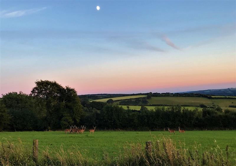 Rural landscape