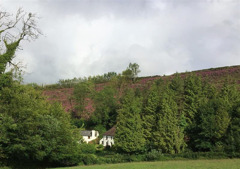 Rural landscape