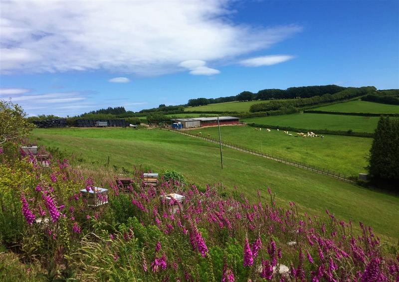 The setting of Barn Owl Cottage