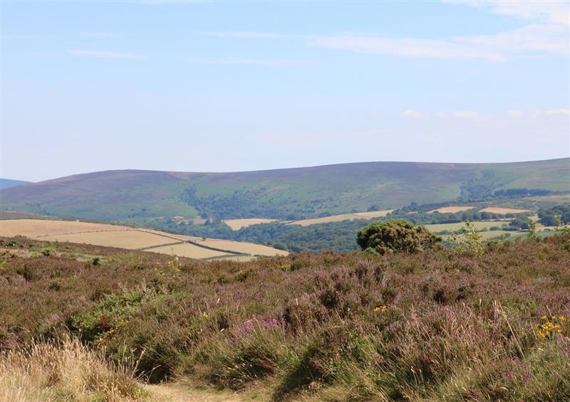 The setting of Barn Owl Cottage