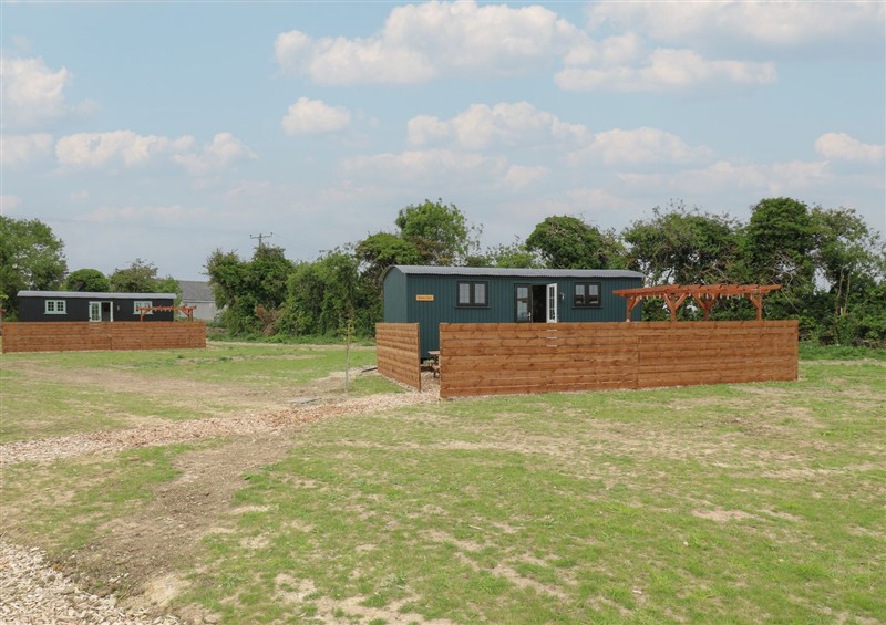 The garden in Barn Owl at Barn Owl, Lode near Bottisham