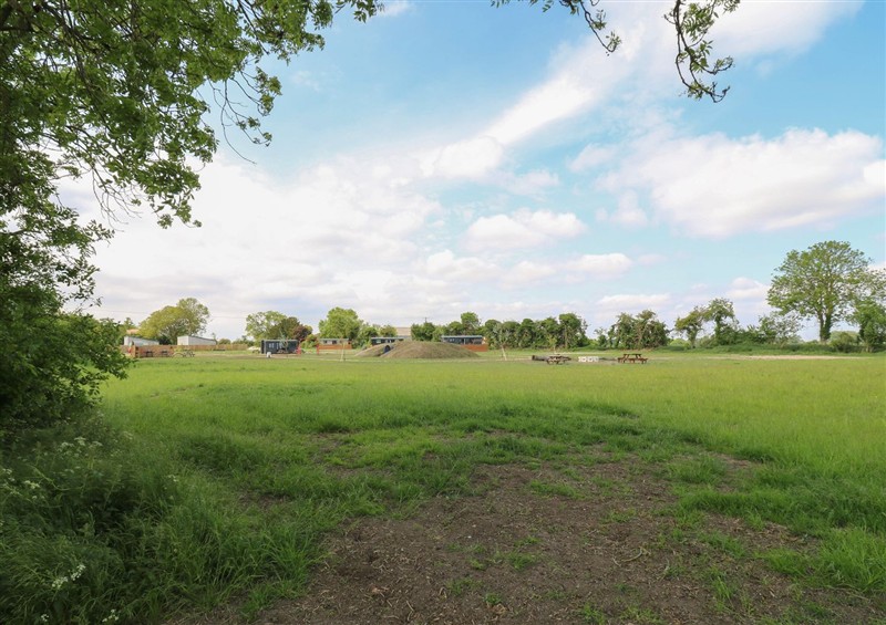 This is the garden at Barn Owl, Lode near Bottisham