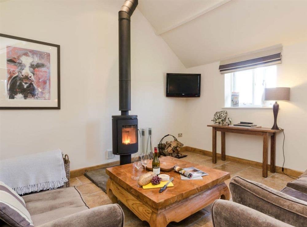 Open plan living space lounge area with wood burner (photo 2) at Barn Owl Lodge in near Carsington, Derbyshire