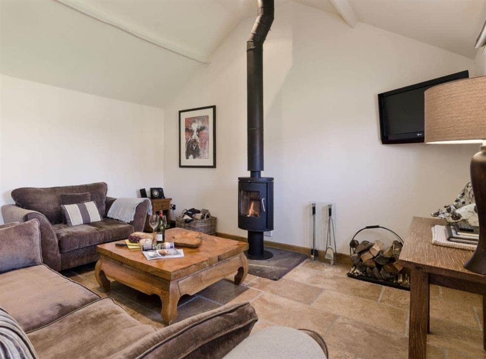 Open plan living space lounge area with wood burner at Barn Owl Lodge in near Carsington, Derbyshire