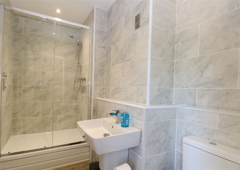 The bathroom at Barn Owl Lodge, Snettisham