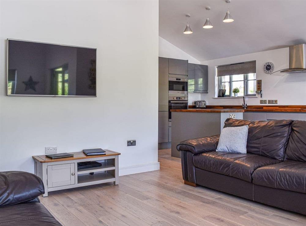 Living area at Barn Owl Lodge in St Columb Major, Cornwall