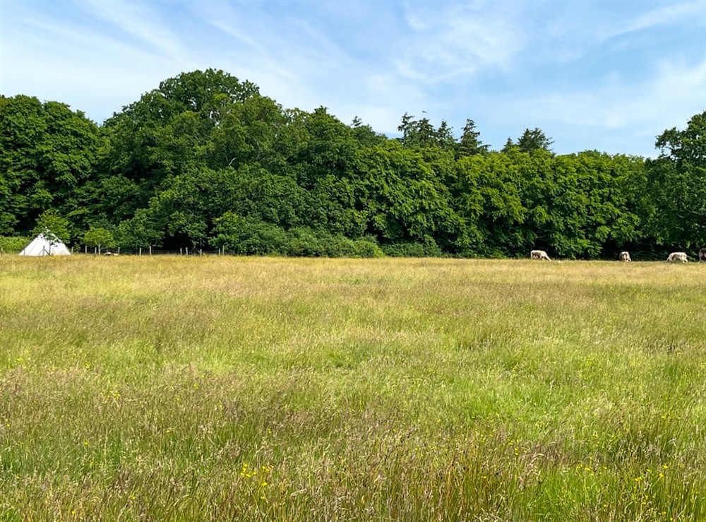 Setting (photo 2) at Barn Owl in Shadowhurst, near Ashford, Kent