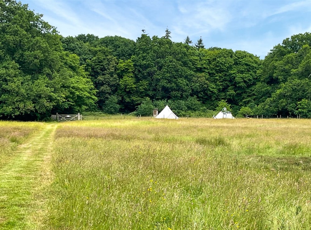 Setting at Barn Owl in Shadowhurst, near Ashford, Kent