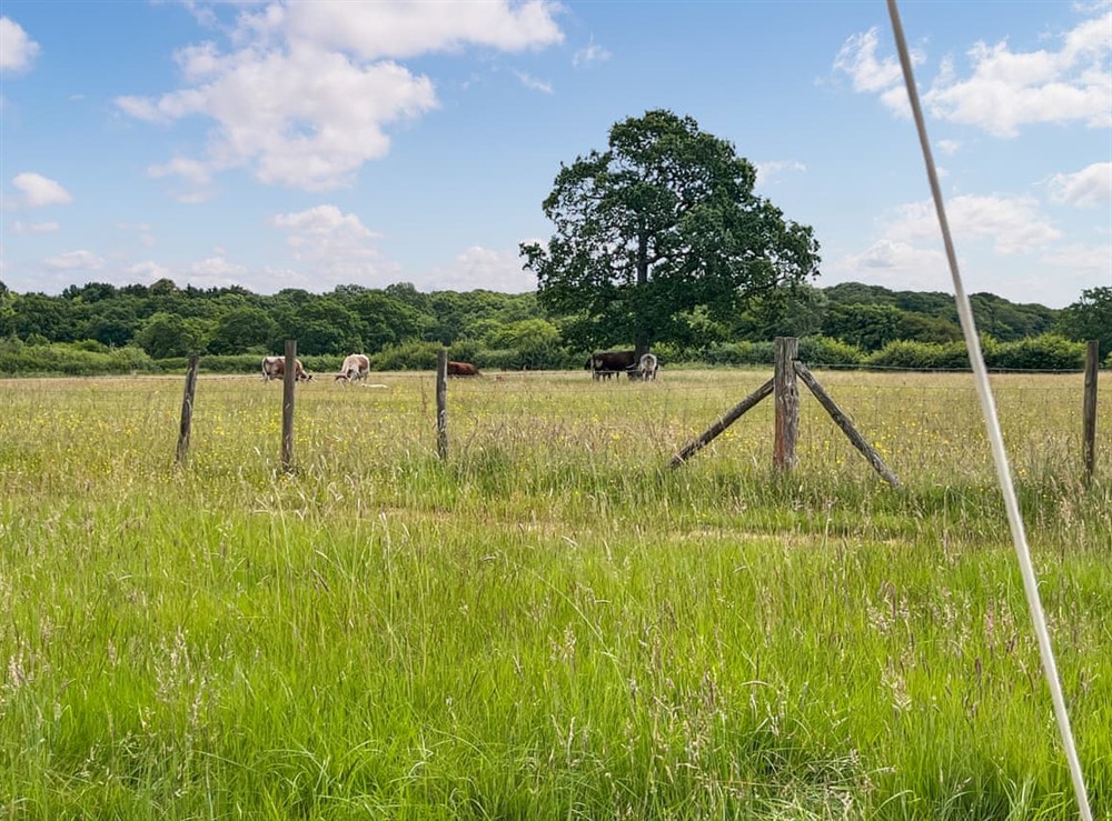 Surrounding area at Barn Owl in Shadowhurst, near Ashford, Kent