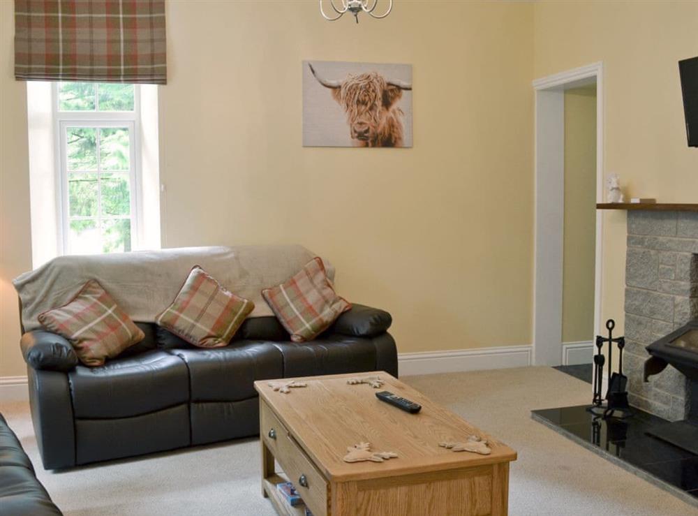 Living room at Barncailzie Lodge in Castle Douglas, Kirkcudbrightshire