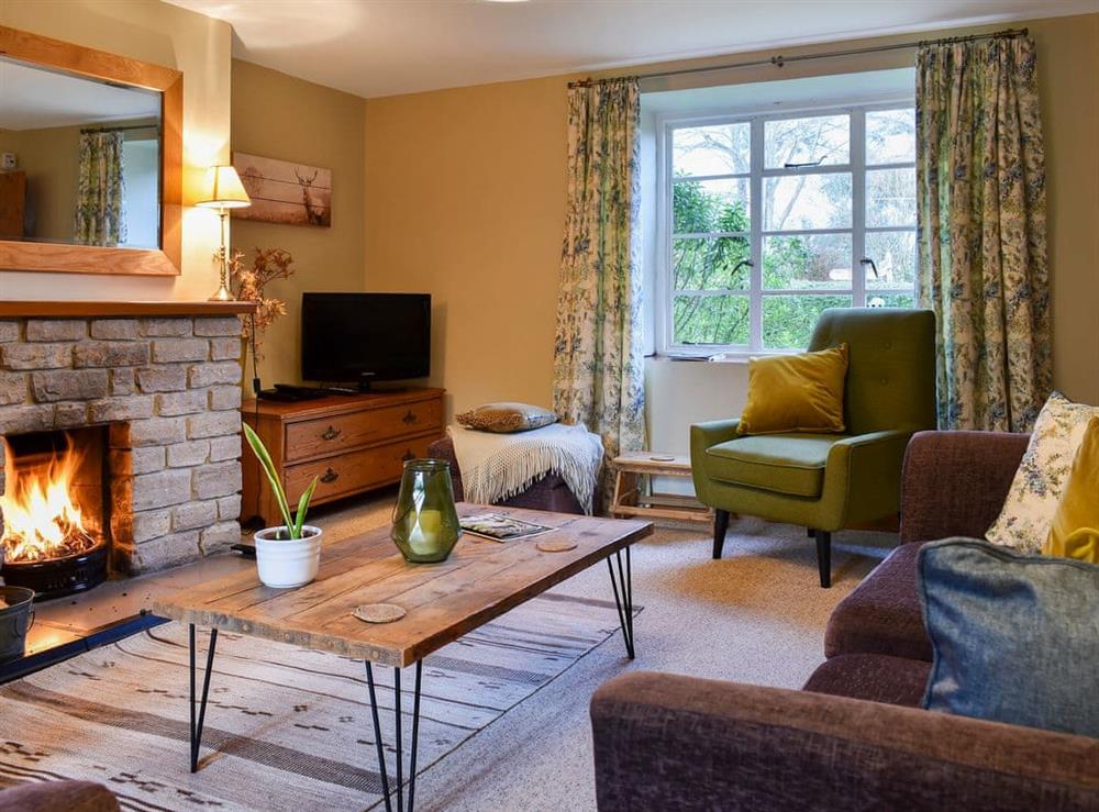 Cosy and warm living room with open fire at Barters Cottage in Chideock, Nr Bridport, Dorset., Great Britain