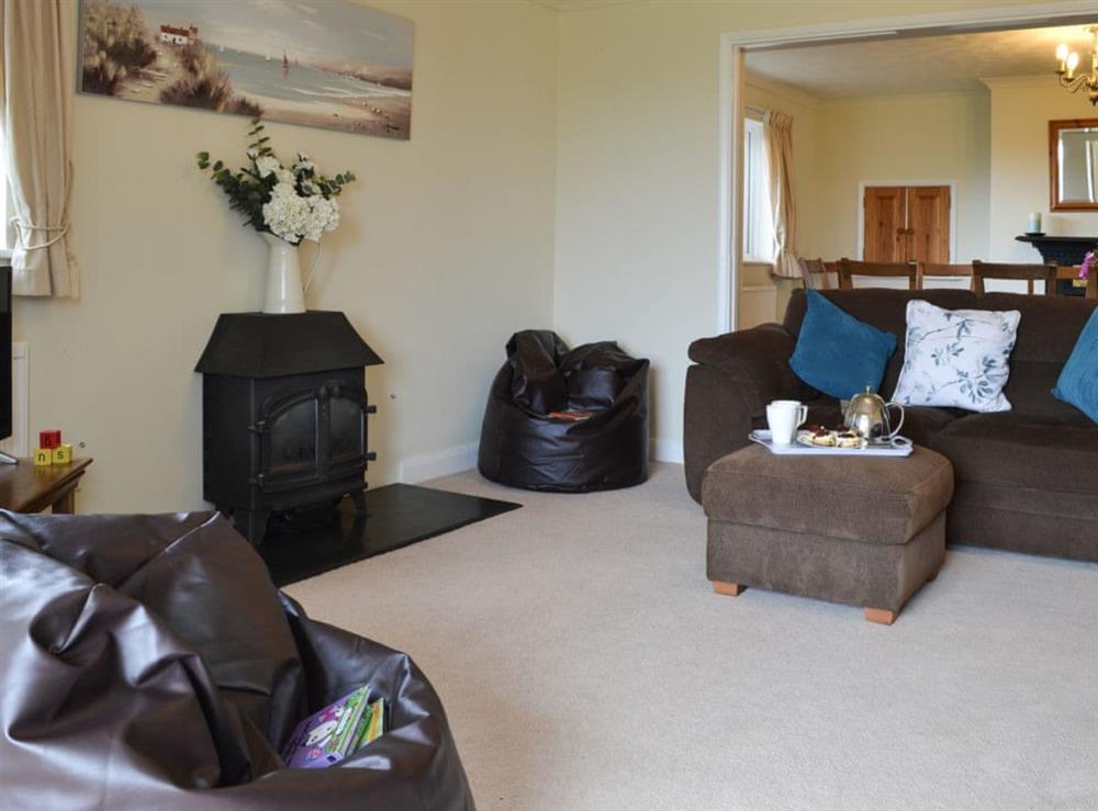 Living room with gas wood burner at Barwick in Exbourne, near Okehampton, Devon