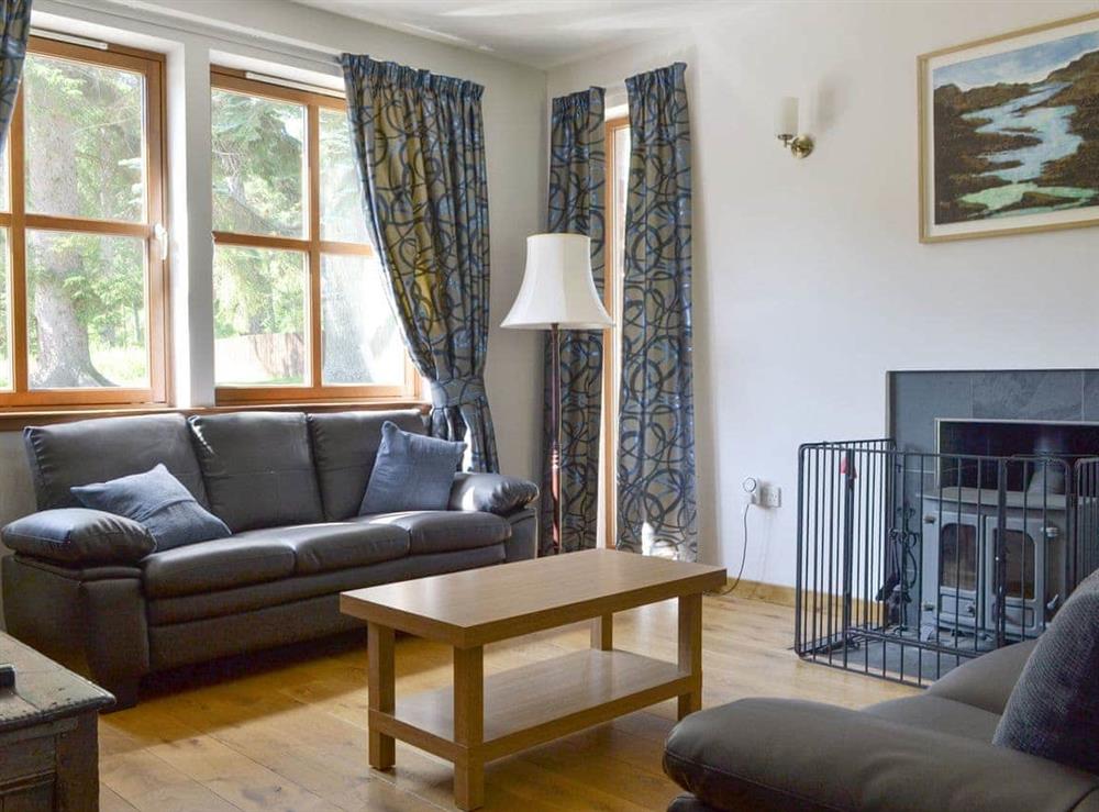 Living area (photo 2) at Battanropie Lodge in Carrbridge, Inverness-Shire