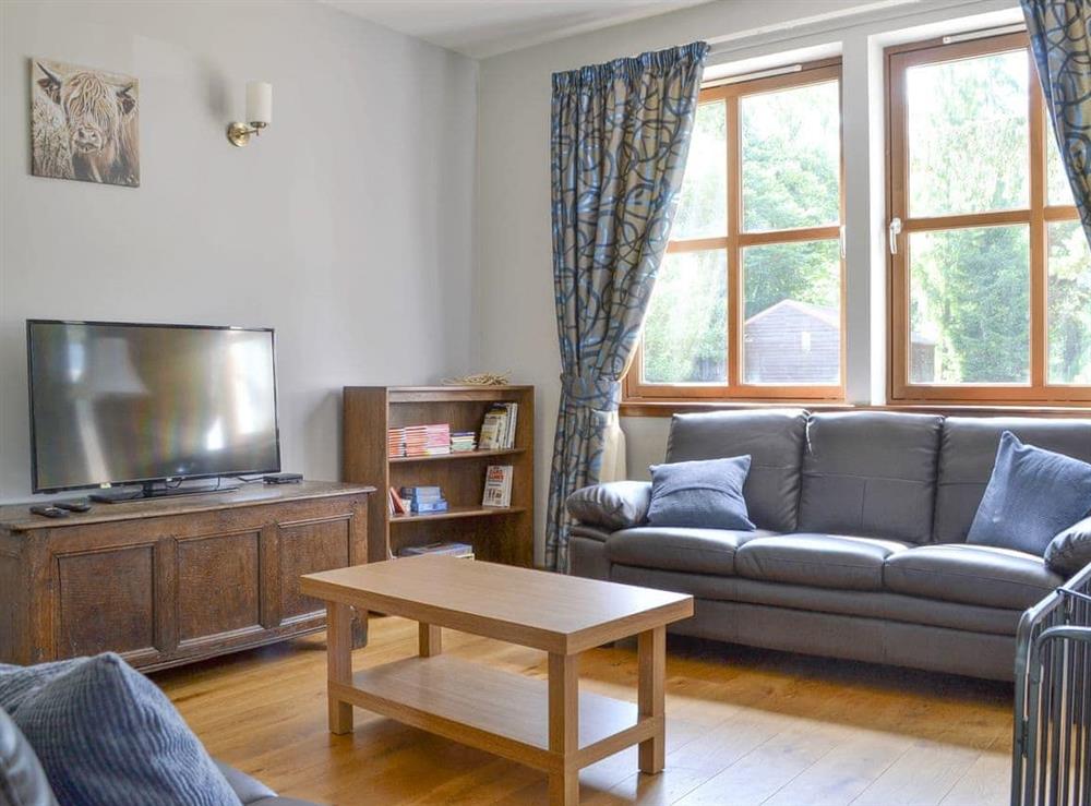 Living area at Battanropie Lodge in Carrbridge, Inverness-Shire