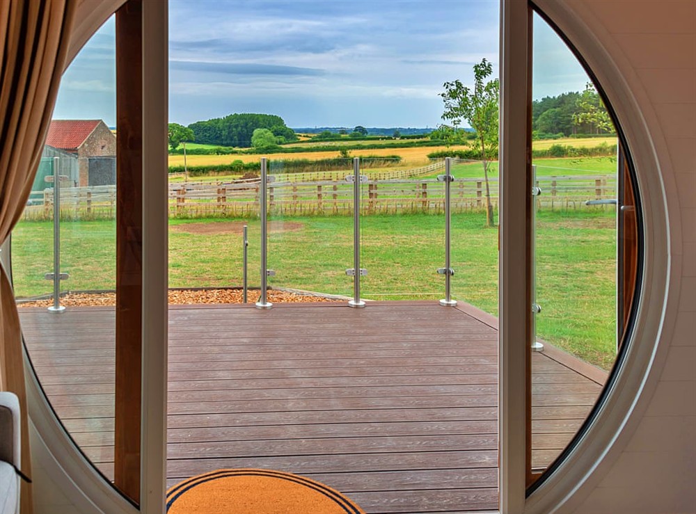 View at Bay House in York, North Yorkshire