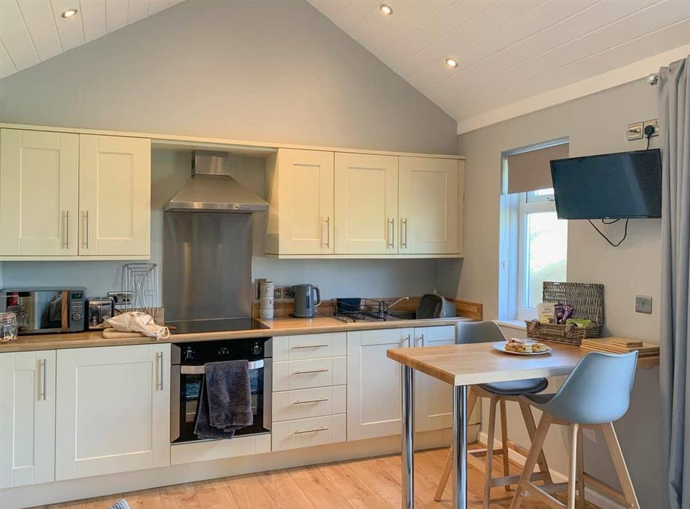 Kitchen area (photo 2) at Bay Tree Cottage in Highhampton, near Beaworthy, Devon