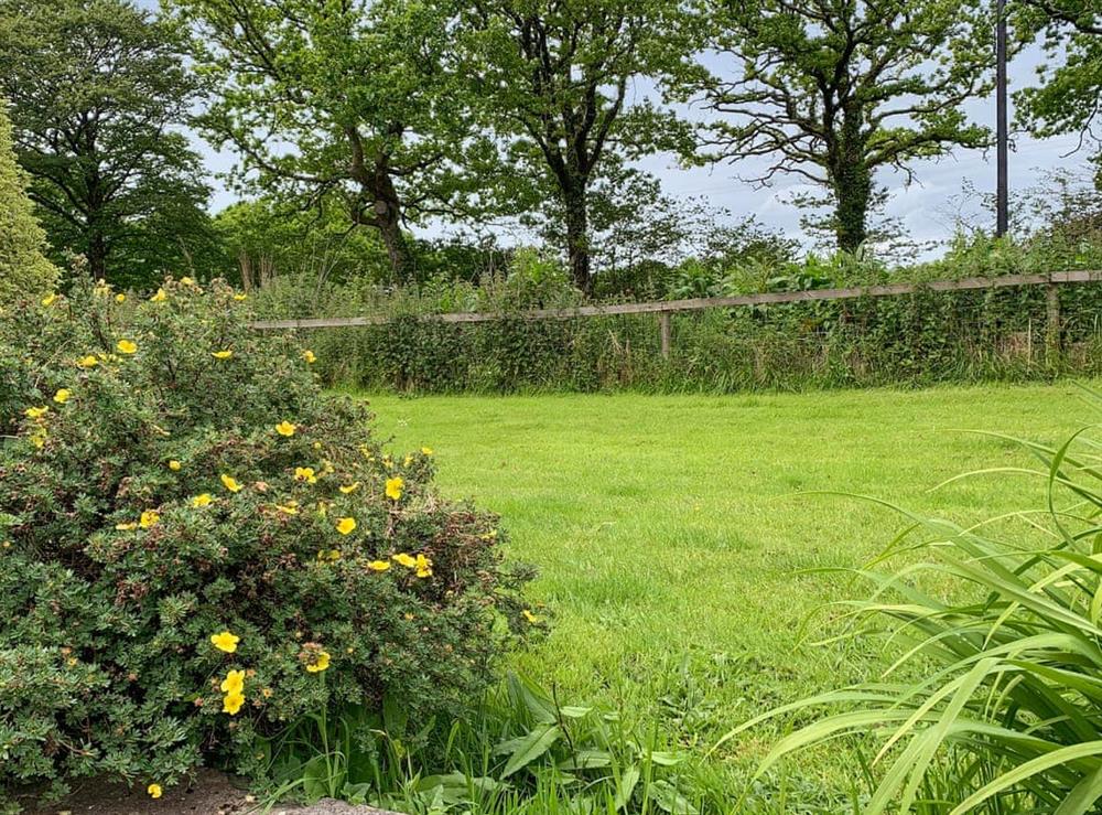 Shared garden at Bay Tree Cottage in Highhampton, near Beaworthy, Devon