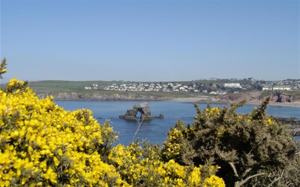 Thurlestone rock